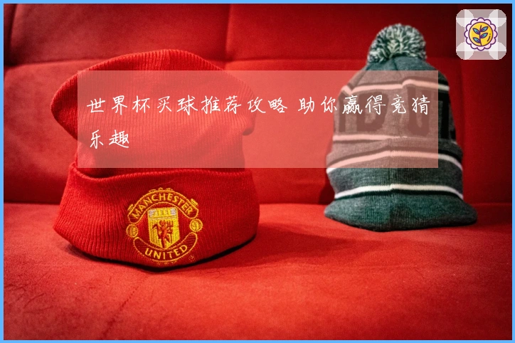 世界杯买球推荐攻略 助你赢得竞猜乐趣