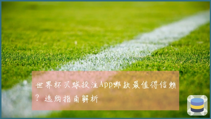 世界杯买球投注App哪款最值得信赖？选购指南解析