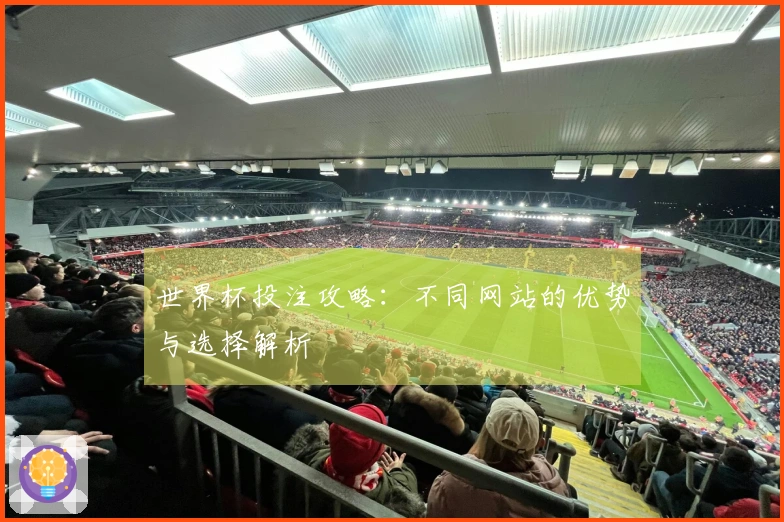 世界杯投注攻略：不同网站的优势与选择解析