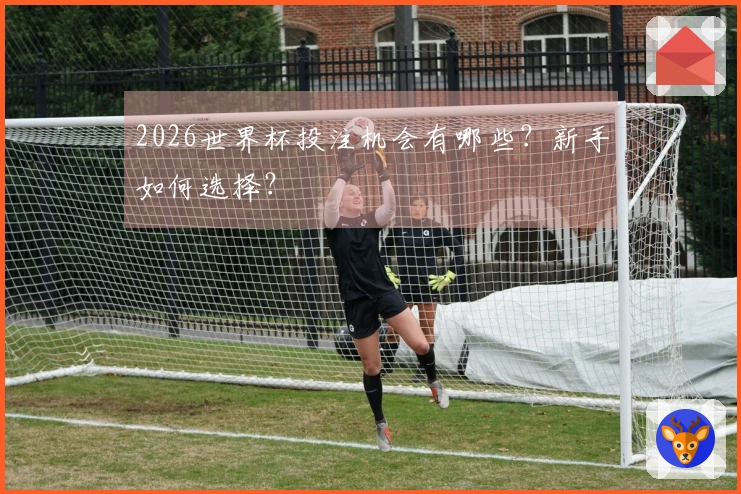 2026世界杯投注机会有哪些？新手如何选择？