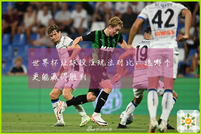 世界杯让球投注玩法对比，选哪个更能赢得胜利