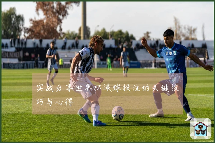 实战分享世界杯滚球投注的关键技巧与心得