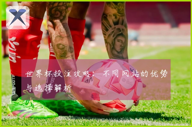 世界杯投注攻略：不同网站的优势与选择解析