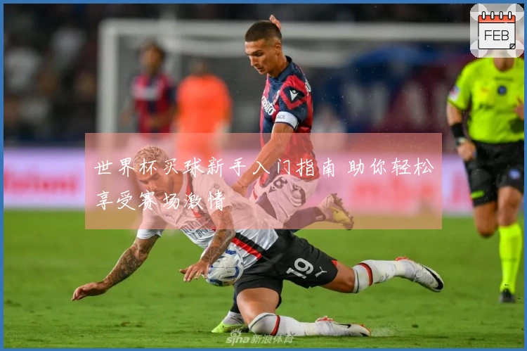 世界杯买球新手入门指南 助你轻松享受赛场激情