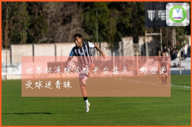 世界杯滚球买球平台盘点，哪些更受球迷青睐