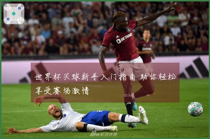 世界杯买球新手入门指南 助你轻松享受赛场激情