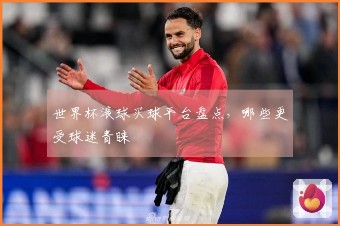 世界杯滚球买球平台盘点，哪些更受球迷青睐