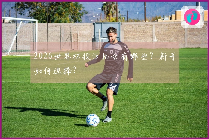 2026世界杯投注机会有哪些？新手如何选择？